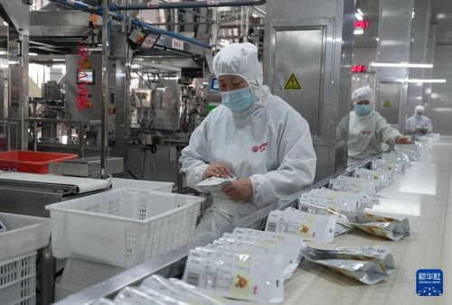 河北遵化 深耕农产品加工 铸就乡村振兴新引擎